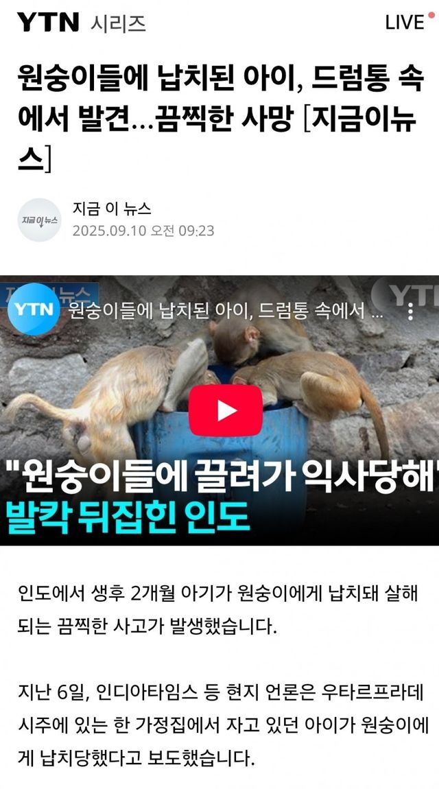 singlebungle1472-20250912-162240-000.jpg 신생아 납치살해한 원숭이들...jpg