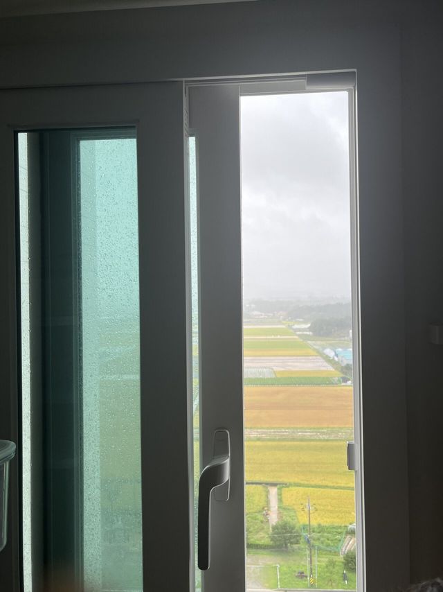 IMG_4397.jpeg 현지 강릉 미친 폭우 중 ㅋㅋㅋ