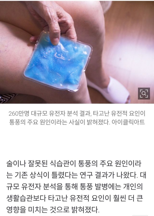 IMG_1260.jpeg 통풍의 원인 밝혀졌다