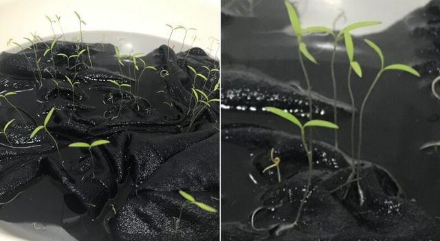 2.jpg 강아지 옷 물에 담가두면 생기는 일