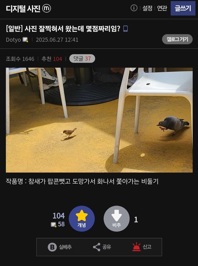 Screenshot_20250915_001741_Samsung Internet.jpg 디시 사진갤러가 순갑 캡쳐한 사진ㅋㅋㅋㅋㅋ