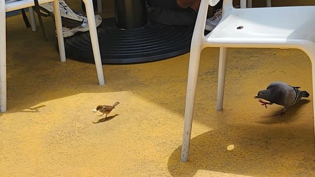 1757769488.jpg 디시 사진갤러가 순갑 캡쳐한 사진ㅋㅋㅋㅋㅋ