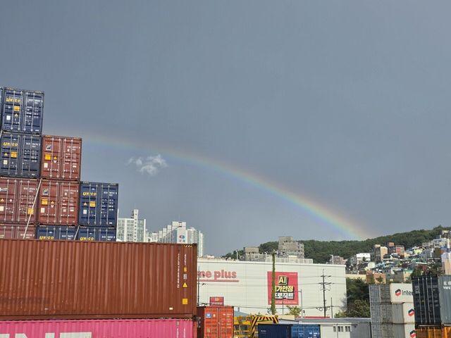 IMG_20250917_161953.jpg 부산 실시간 무지개 보고가라~