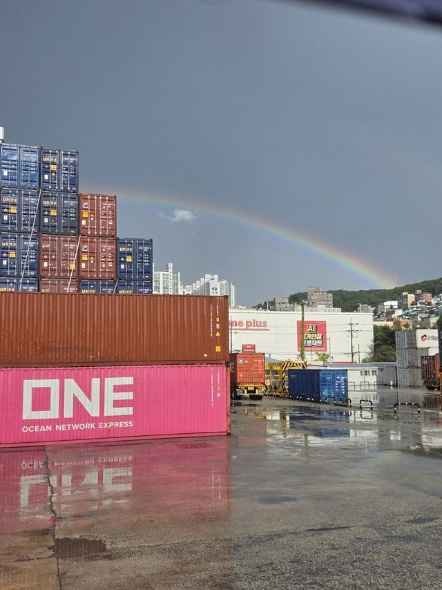 IMG_20250917_161923.jpg 부산 실시간 무지개 보고가라~