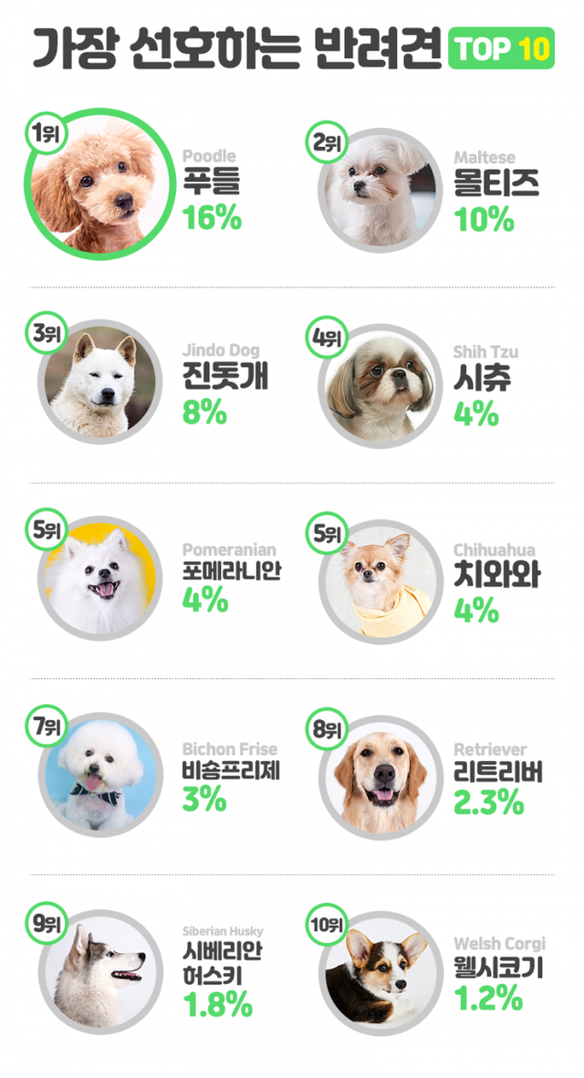 image.png 한국인이 선호하는 반려견 순위 TOP10