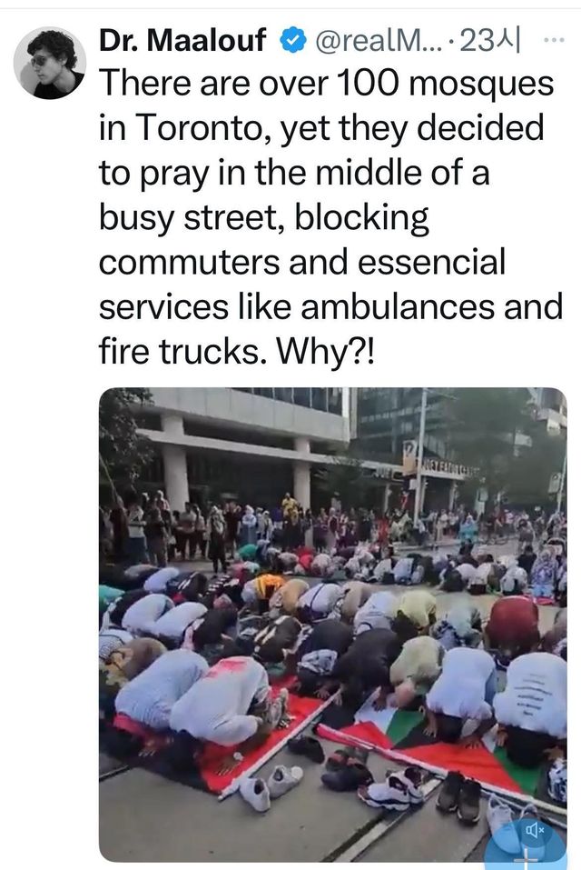 IMG_1046.jpeg 현재 토론토 상황