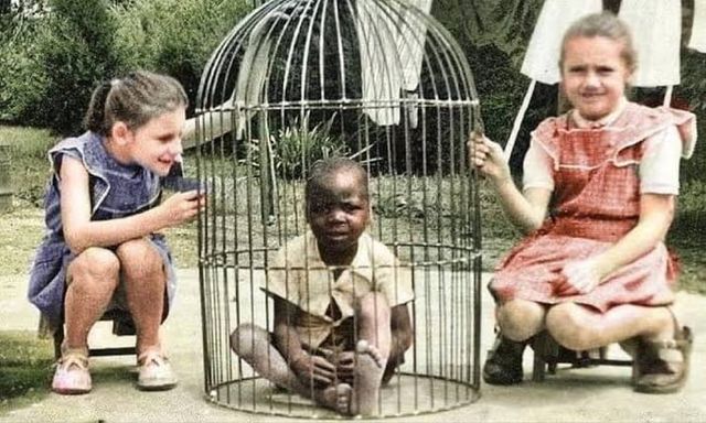 7928022c40c380467b3de751cd602917.jpg 1958년 벨기에 인간동물원