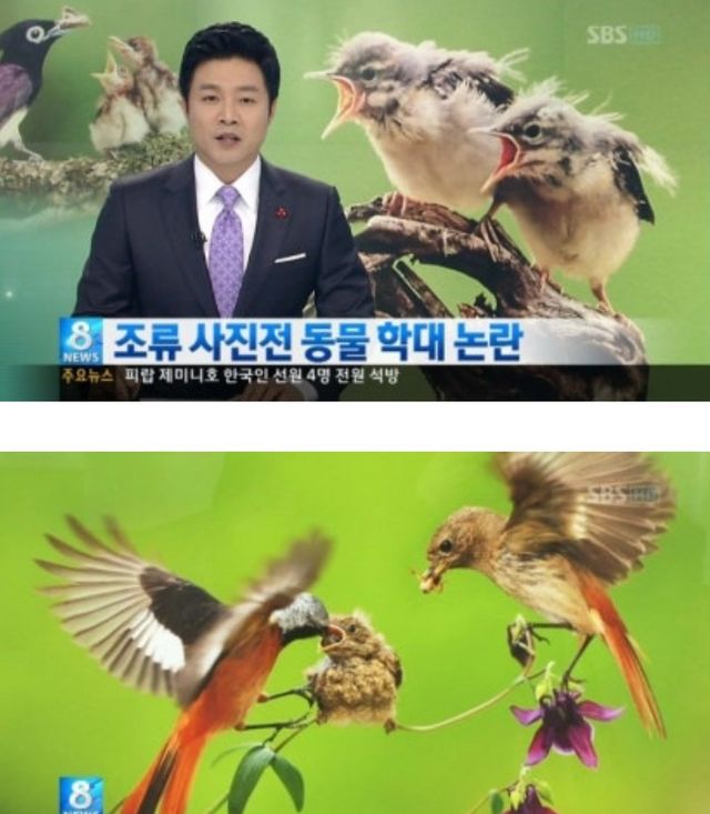 IMG_9812.jpeg 어떤작가가 찍은 추악한 사진 레전드