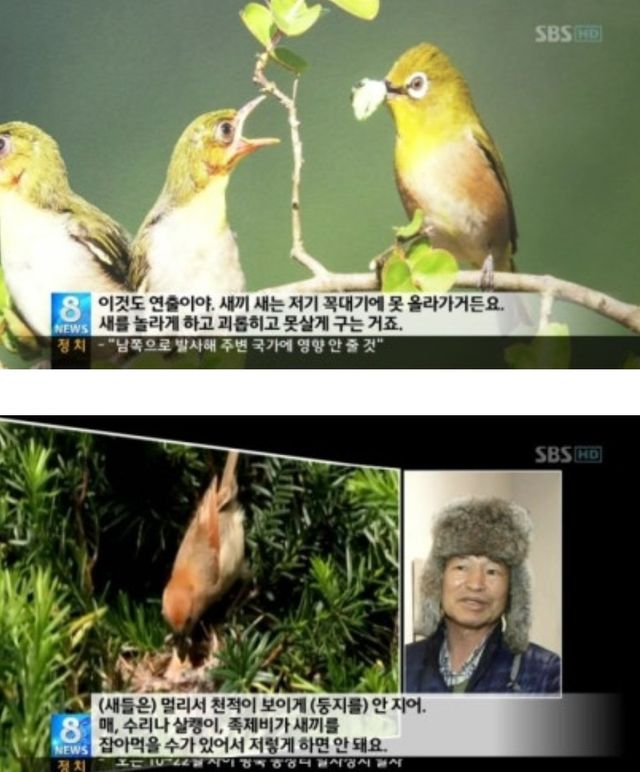 IMG_9814.jpeg 어떤작가가 찍은 추악한 사진 레전드