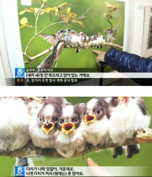 IMG_9813.jpeg 어떤작가가 찍은 추악한 사진 레전드