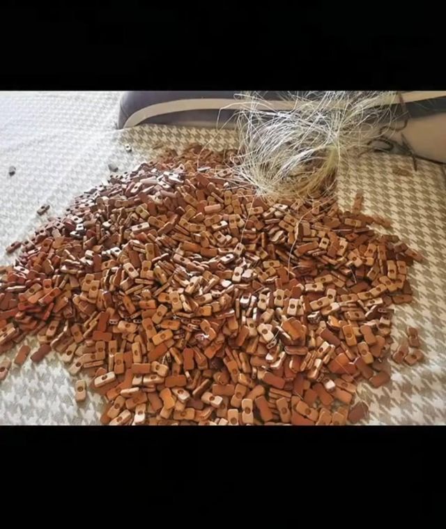 IMG_20250906_134957_597.jpg 대나무자리를 세척하는 소름돋는 광기