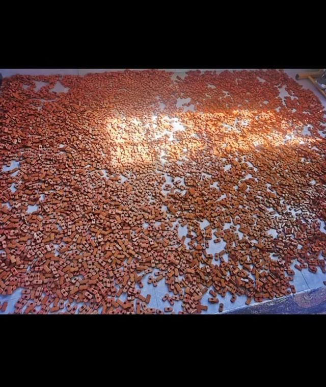 IMG_20250906_135003_853.jpg 대나무자리를 세척하는 소름돋는 광기