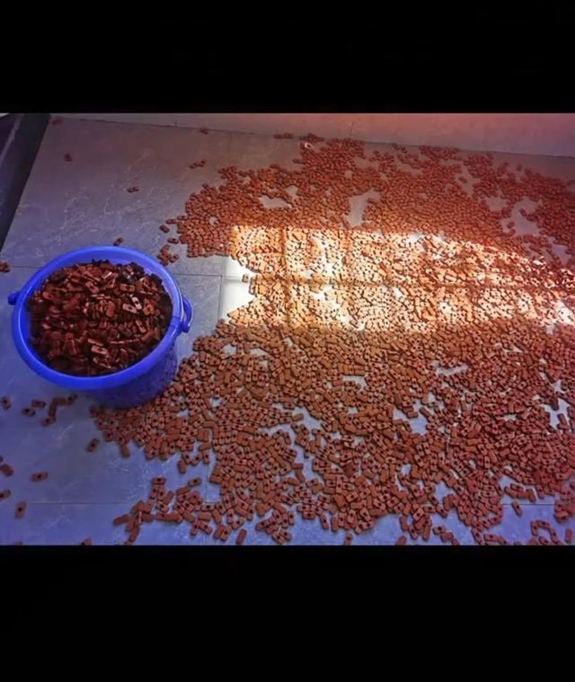 IMG_20250906_135002_035.jpg 대나무자리를 세척하는 소름돋는 광기