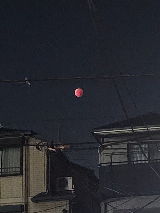 20250908_032950.jpg 실시간 직찍) 개기월식 촬영 해보았습니다. jpg