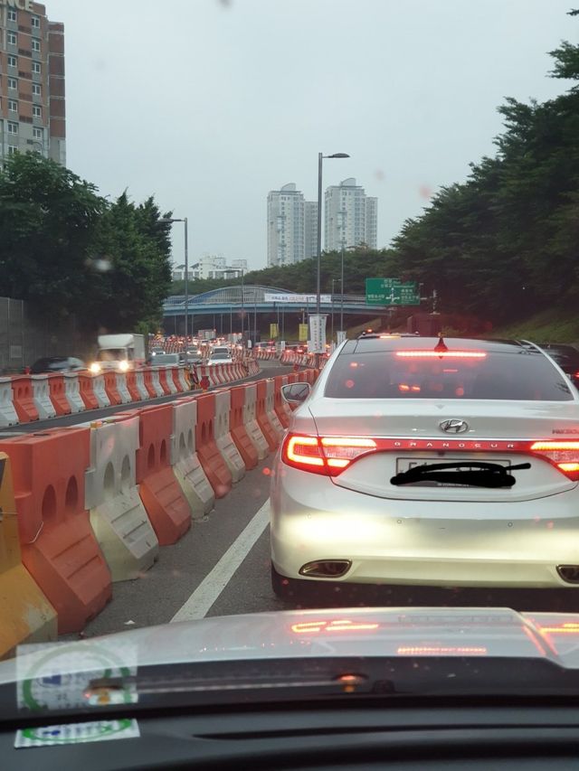 IMG_9745.jpeg 개미친 서울 서부간선도로 공사 “철회” 선언