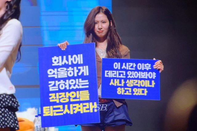 피켓시위하는 트와이스 사나