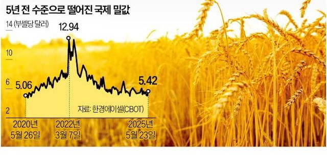 19927d8a06251a34e.jpg 밀가루 5년 내 최저가 회복