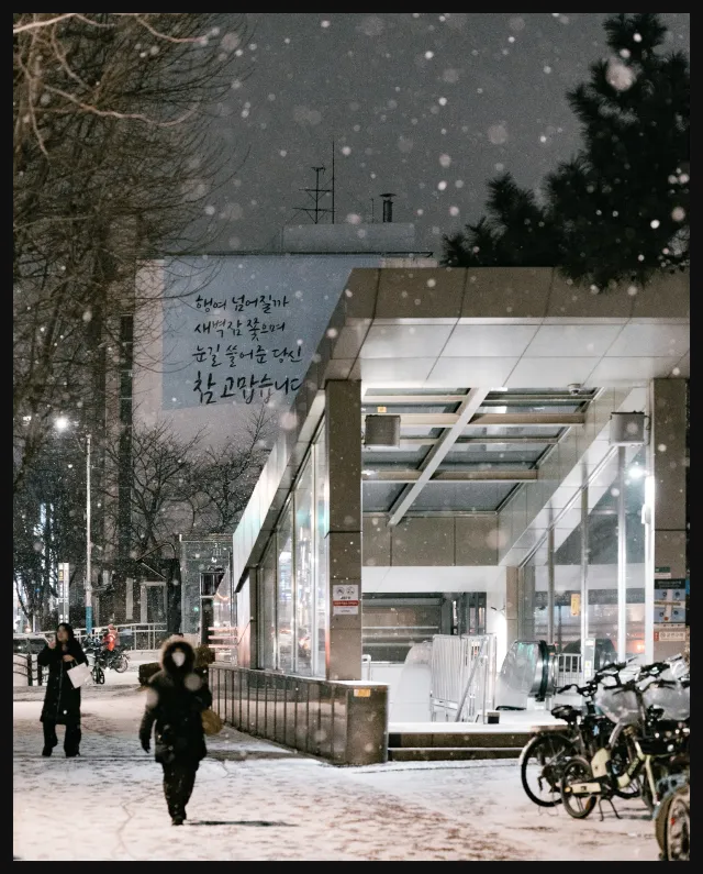 Zf , 눈 많이 오던날