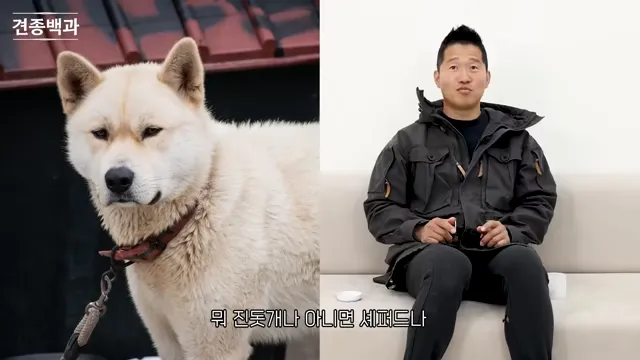 강형욱에게 문의가 가장 많이 온다는 사나운 견종