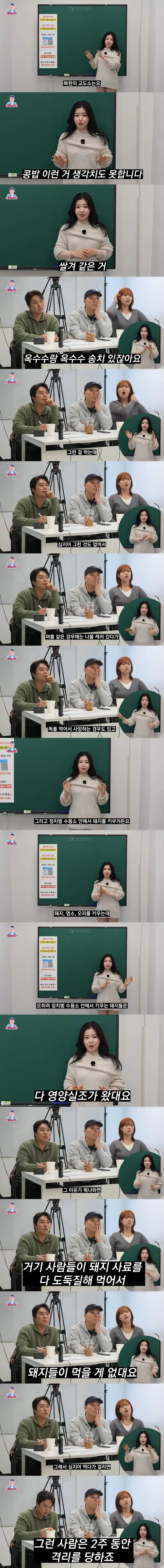 북한 교도소에서 키우는 돼지들이 영양실조에 걸린 이유