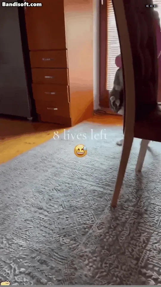 훌쩍훌쩍 극한직업 단또촌