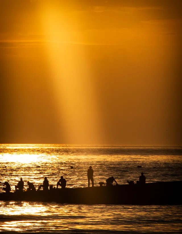 [사진과리듬] 질서속 무질서