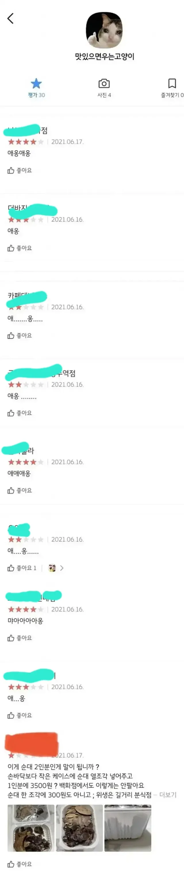 맛있으면 우는 고양이.jpg