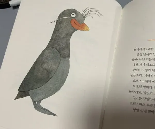 실제로 있는 동물