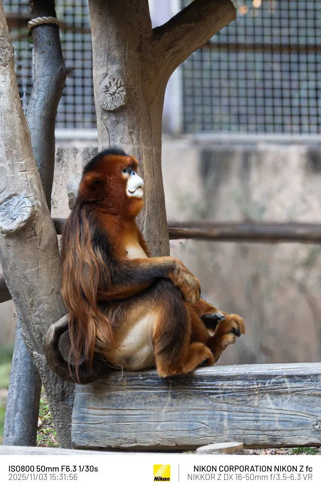 옛날에 동물원 가서 찍은것