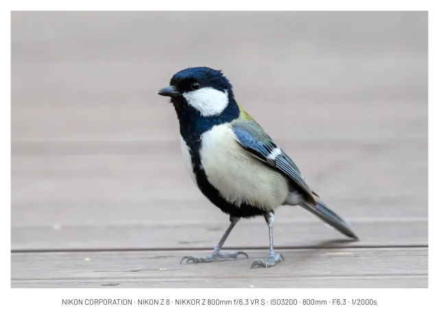 260301 국립수목원