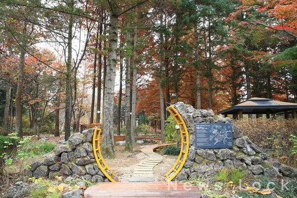 국민은행 제공. [뉴스락]
