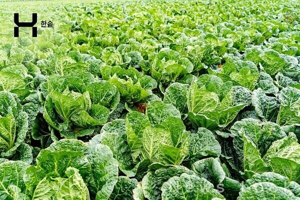 한솥도시락 제공. [뉴스락]