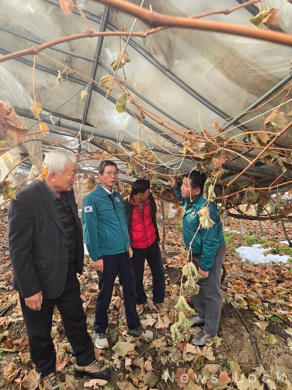 윤해진 NH농협생명 대표가 폭설피해 현장방문했다. 농협생명 제공 [뉴스락]