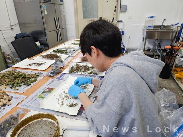 ‘시드볼트 담다 프로젝트’에 참여한 대학생, 대학원생이 수집된 종자를 정선(精選 - 종자의 불순물을 제거하는 작업) 하고 있는 모습. 정인욱학술장학재단 제공 [뉴스락]