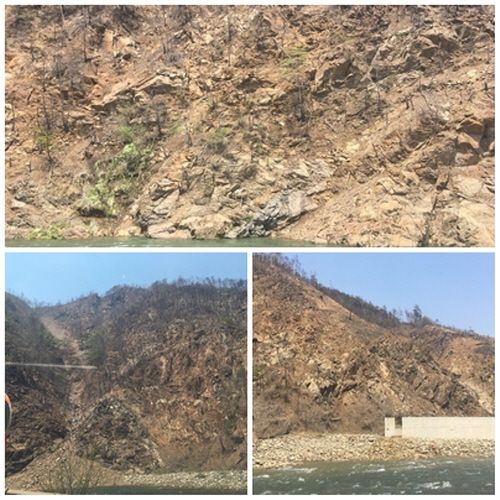 영풍석포제련소 인근 산림. 뉴스락DB