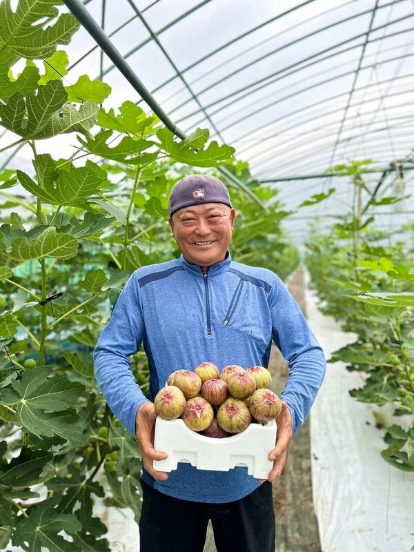 쿠팡이 올 들어 주요 인구감소지역에서 매입한 과일이&nbsp;6600톤을 넘어섰다. 쿠팡 제공 [뉴스락]