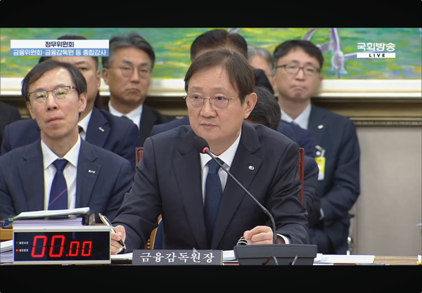 이찬진 금융감독원장이 27일 서울 여의도 국회 정무위원회에서 열린 금융위원장·금융감독원에 대한 종합감사에서 의원 질의에 답하고 있다. 사진 국회방송 캡쳐 [뉴스락]