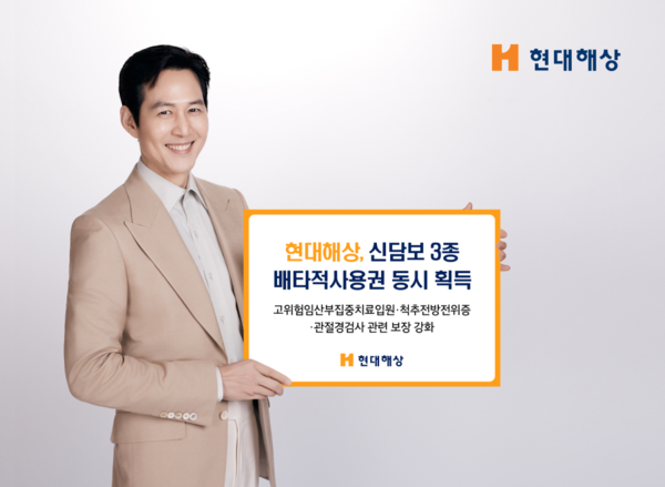 현대해상화재보험은 신담보 배타적사용권을 동시에 획득했다. 현대해상 제공 [뉴스락]