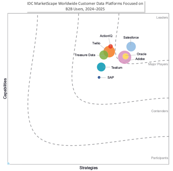 데이터 클라우드 IDC 마켓스케이프 CDP 부문 B2B 영역 리더 선정. 세일즈포스 제공 [뉴스락]