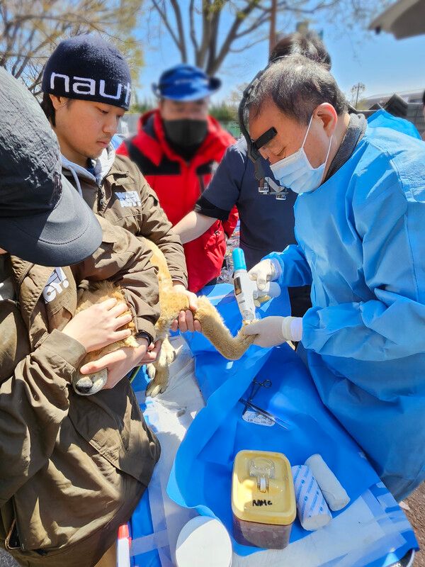 유한양행이 단일&nbsp;재해로&nbsp;역대&nbsp;최대&nbsp;규모의&nbsp;피해를&nbsp;남긴&nbsp;산불피해로&nbsp;고통받고&nbsp;있는&nbsp;동물들을&nbsp;위한&nbsp;지원에&nbsp;나섰다.&nbsp;유한양행 제공 [뉴스락]
