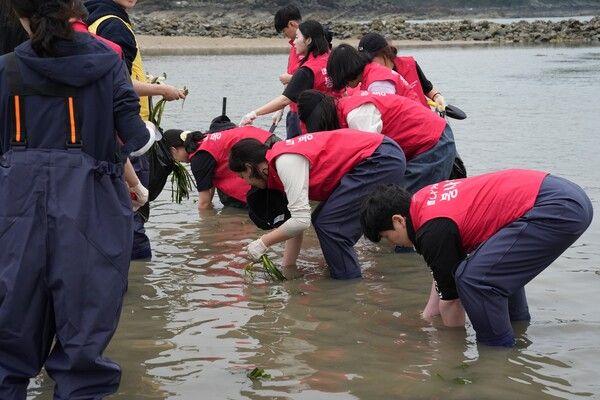 16일 충남 태안군 의항리 해역에서&nbsp;LX판토스 임직원들이 ‘바다숲 가꾸기’ 봉사활동을 진행하고 있는 모습.&nbsp;사진 LX판토스 [뉴스락]