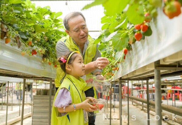 NH농협금융은 27일, 이찬우 회장과 농협금융 가족봉사단이 경기도 파주시에서 농촌 수확체험과 플로깅을 실시했다고 밝혔다. 농협금융지주 제공 [뉴스락]