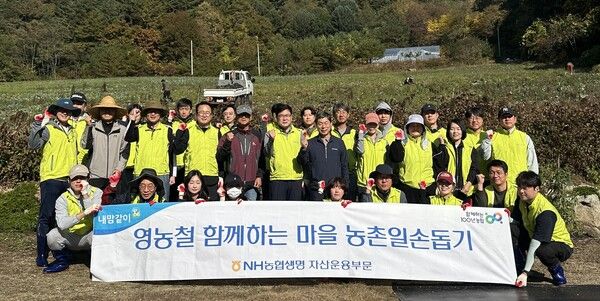 NH농협생명(대표 윤해진)은 지난 14일 강원도 인제군에 위치한 양배추 재배 농가를 방문해 농업 현장 지원 활동을 전개했다. 사진 NH농협생명 [뉴스락]
