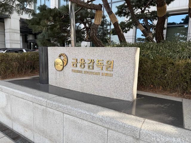 금융감독원 사진. 사진 = 정수연 기자 [뉴스락]