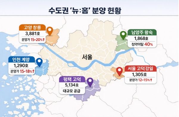 '뉴:홈' 분양 현황. [뉴스락 편집]