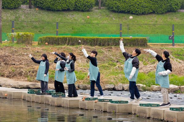 코웨이 임직원 봉사자가 안양천 다리에서 EM흙공을 던지고 있다. 코웨이 제공 [뉴스락]