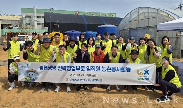 농협생명 제공. [뉴스락]