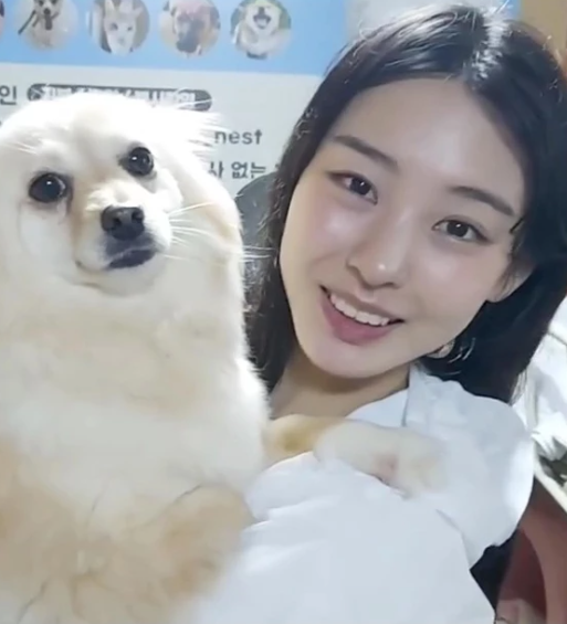 천사들의 보금자리 인스타그램