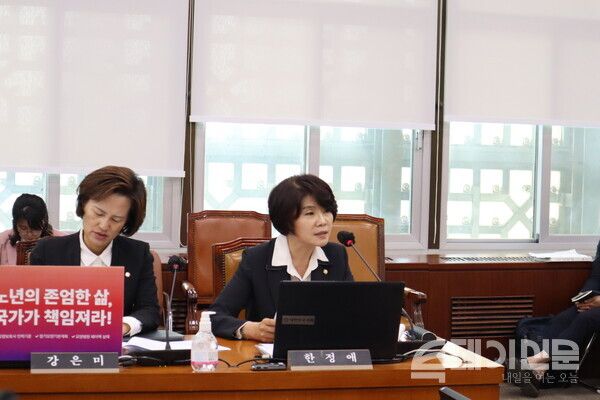 더불어민주당 한정애 의원이 12일 오전 서울 여의도 국회에서 열린 보건복지위원회 국정감사에서 질의하고 있다. ⓒ투데이신문