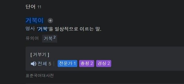 [사진제공=네이버사전 갈무리]
